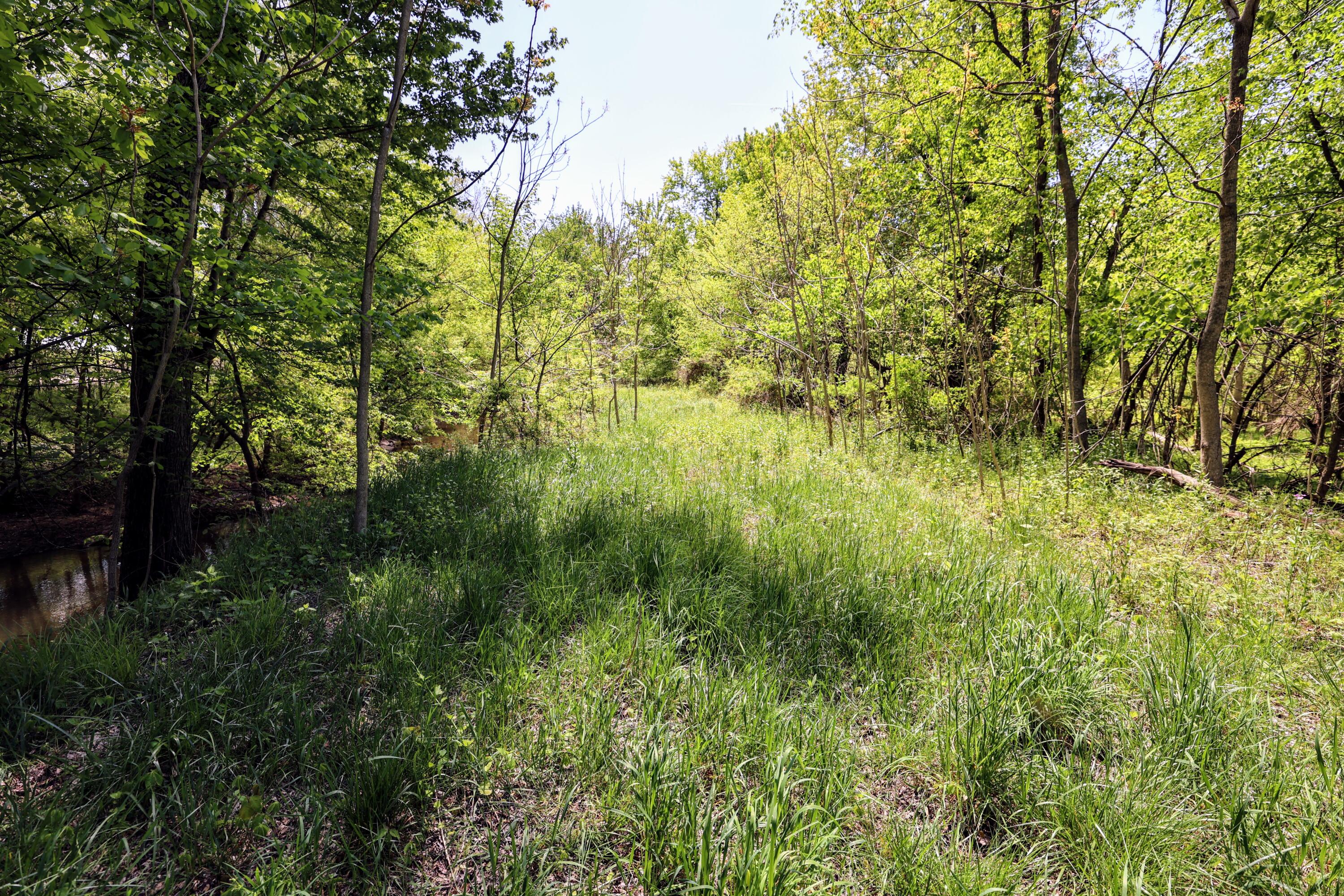 8 1/2 8 1/2 Mile Road Burlington, MI 49029 - Photo 9 of 55 9