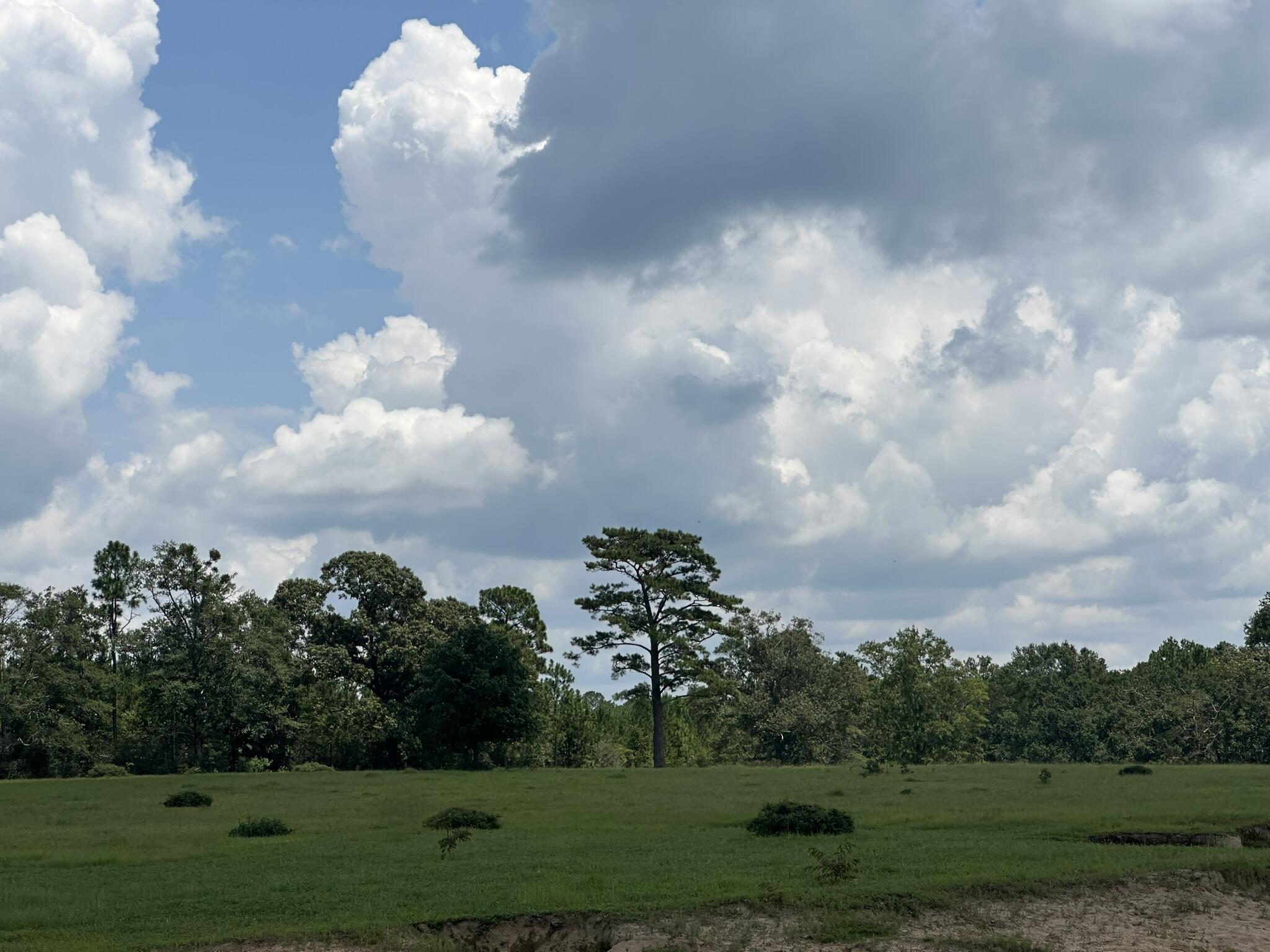 Lot 4 Bullard Road Milton, FL 32570 - Photo 3 of 9 IMG_1585