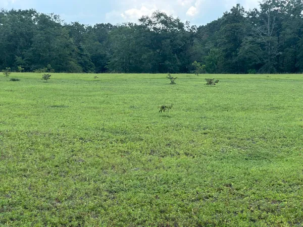 $89,700 | Lot 4 Bullard Road, Milton, FL 32570