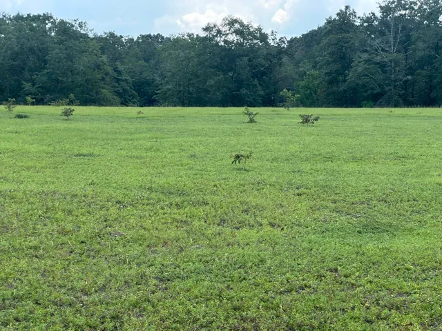 $99,900 | Lot 4 Bullard Road, Milton, FL 32570