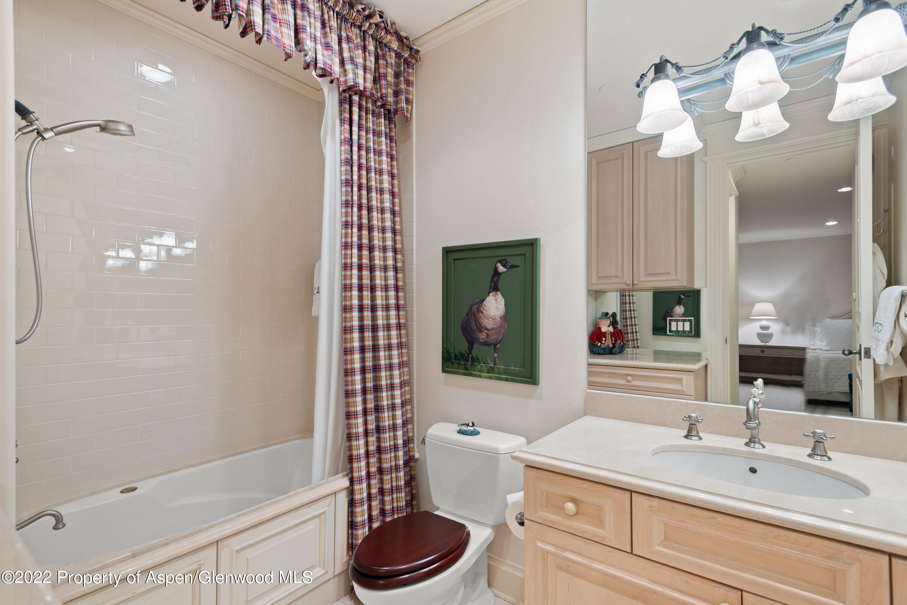 926 Willoughby Way Aspen, CO 81612 - Photo 38 of 47 a bathroom with a sink a toilet and shower