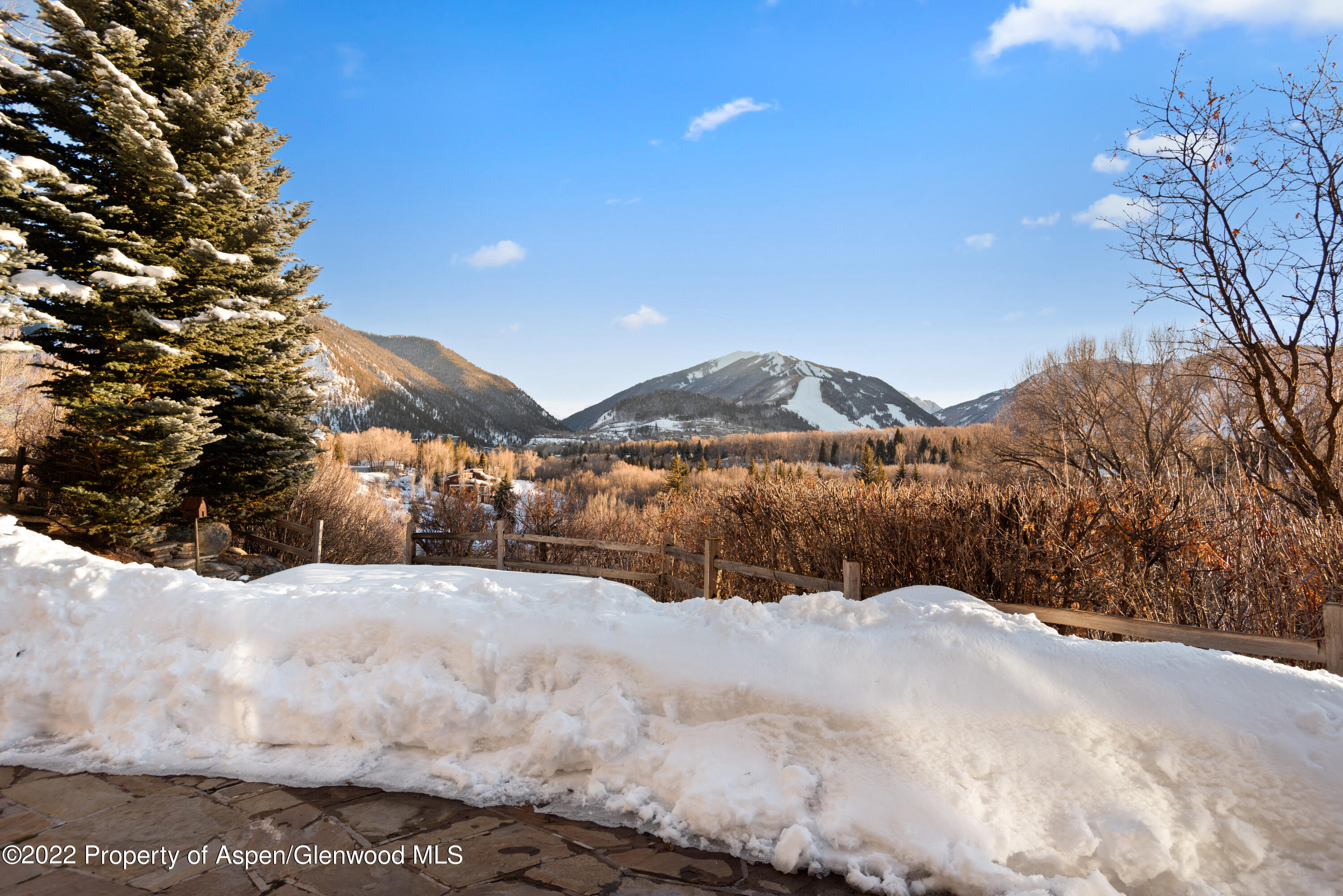 926 Willoughby Way Aspen, CO 81612 - Photo 44 of 47 a view of large trees with a big yard