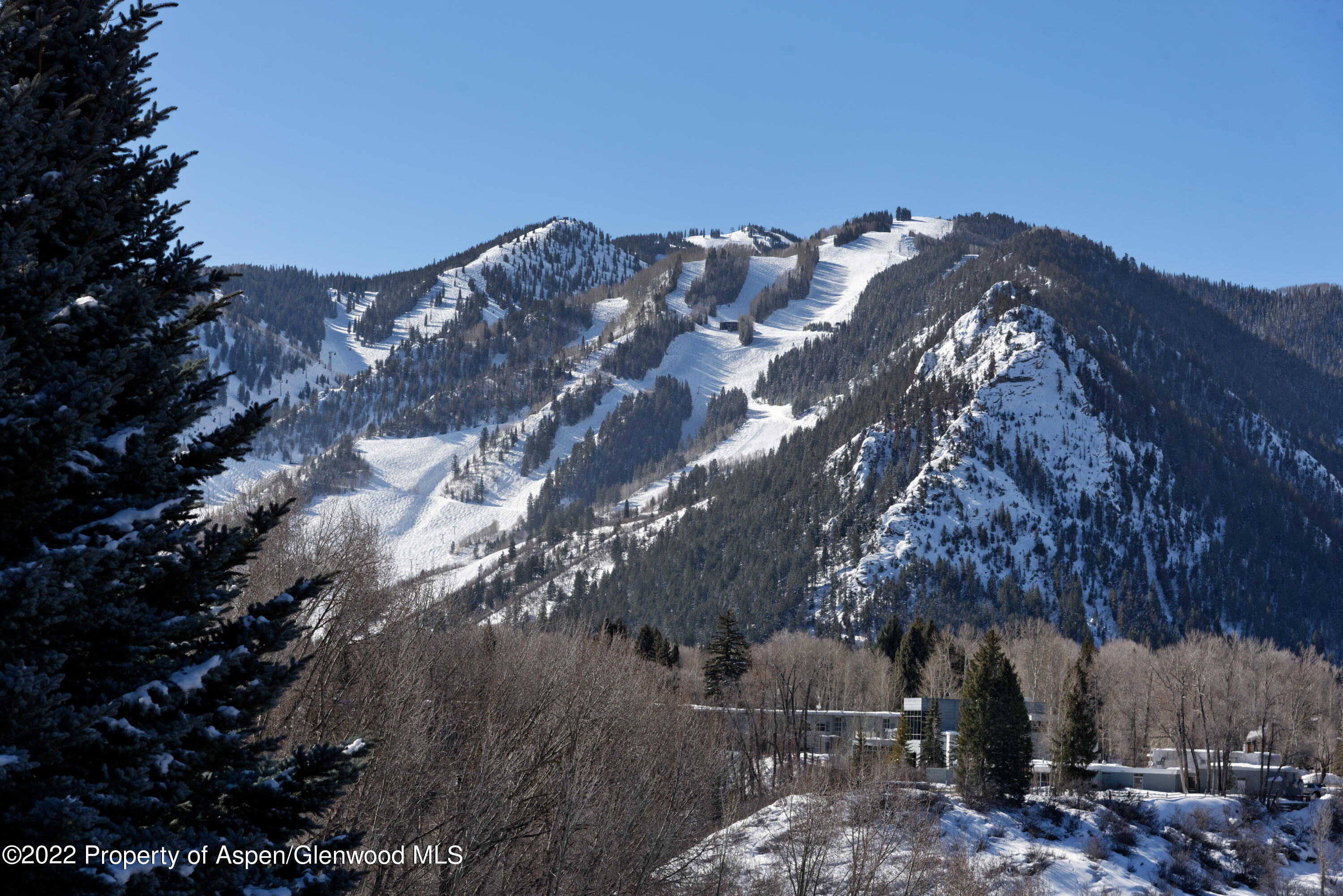 926 Willoughby Way Aspen, CO 81612 - Photo 45 of 47 a view of a tree in front of a house