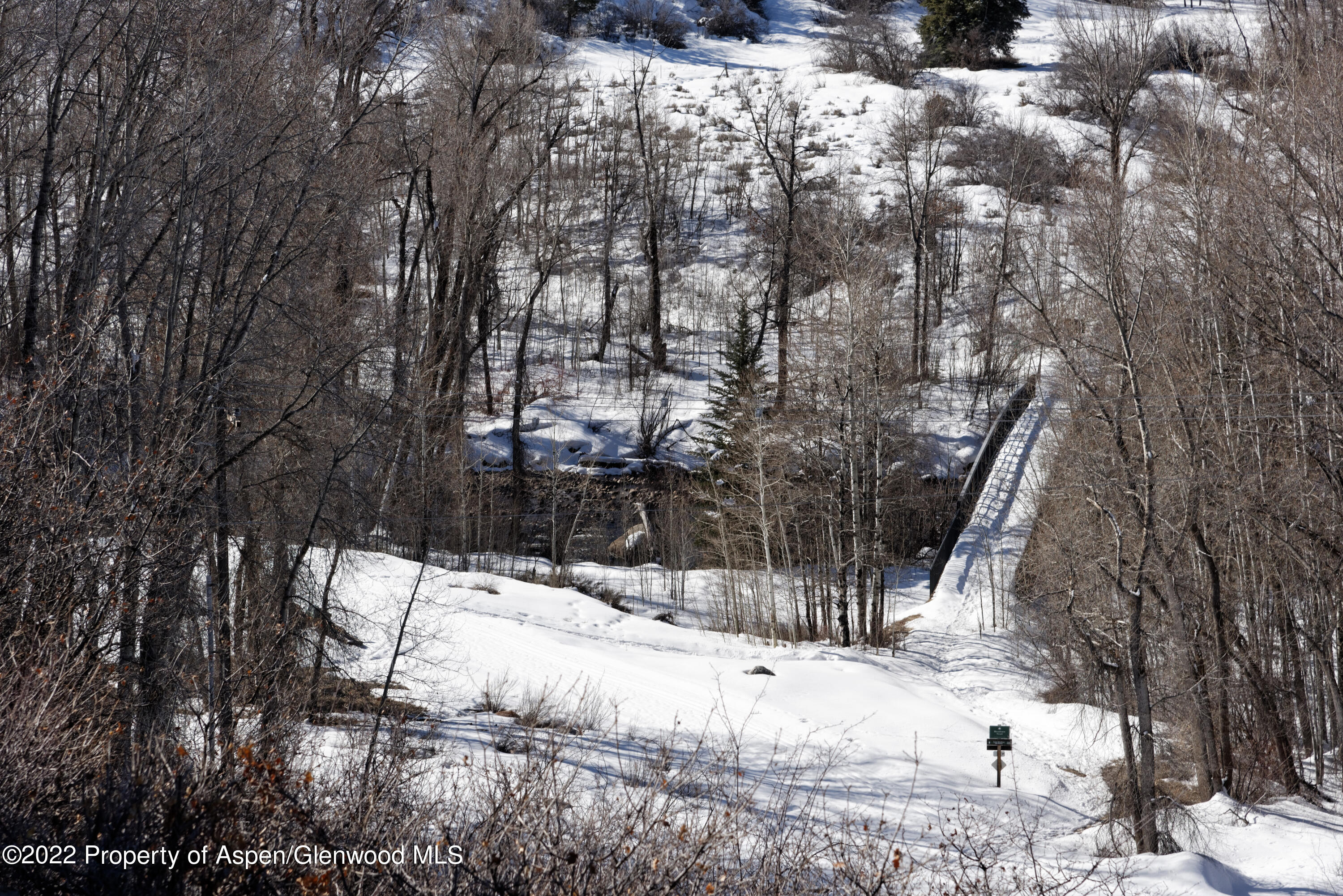 926 Willoughby Way Aspen, CO 81612 - Photo 7 of 47 a view of snow on the side of a road