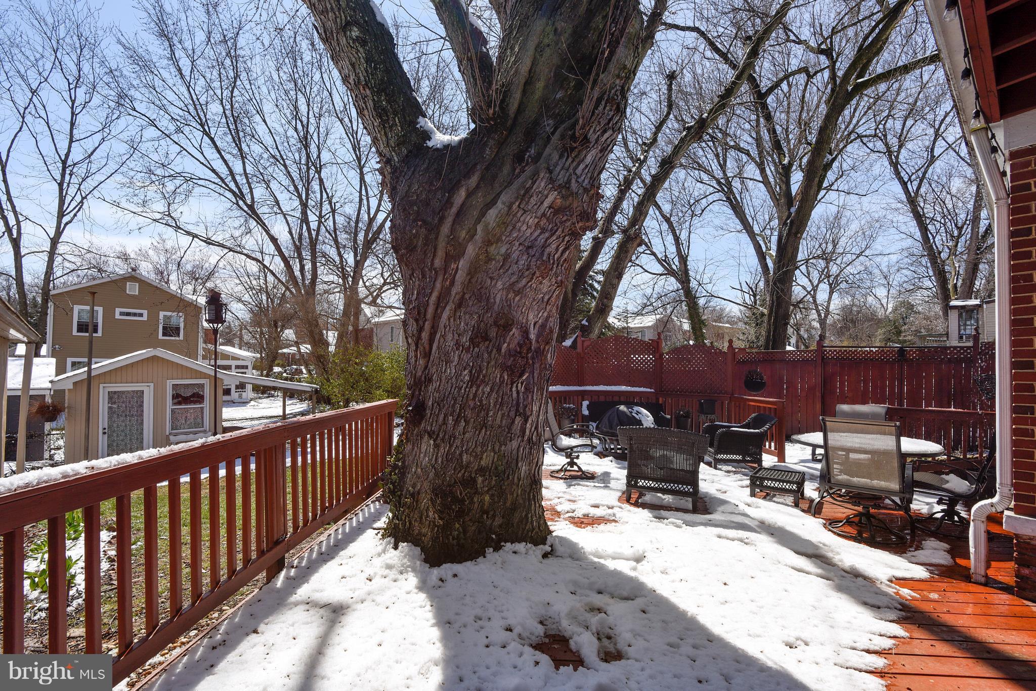1712 Brisbane Street Silver Spring, MD 20902 - Photo 29 of 30 Unique Deck Surrounding Mature Tree