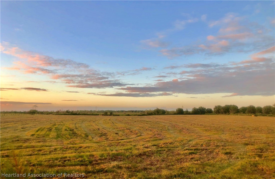 0 County Line Road East Fort Meade, FL 33841 - Photo 3 of 9