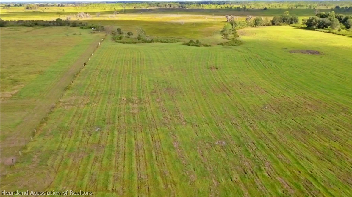 0 County Line Road East Fort Meade, FL 33841 - Photo 6 of 9