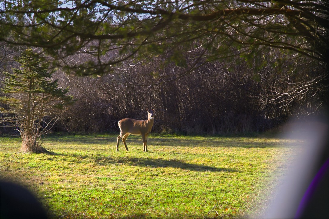 46 Simmons Road, Unit A Little Compton, RI 02837 - Photo 25 of 26