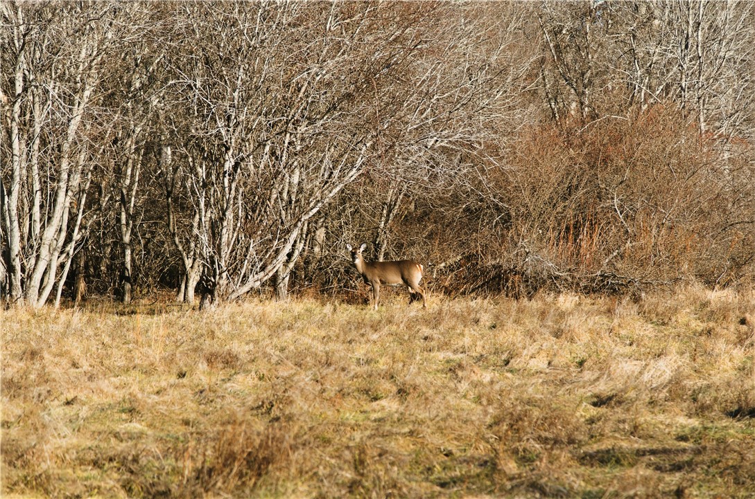 46 Simmons Road, Unit A Little Compton, RI 02837 - Photo 26 of 26