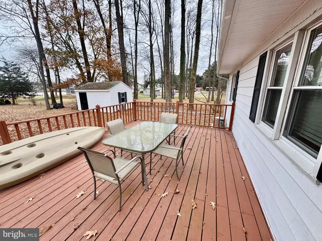 a view of a backyard that has a tree on the side of the road