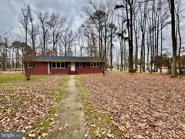 a living room with a couch and a wooden floor