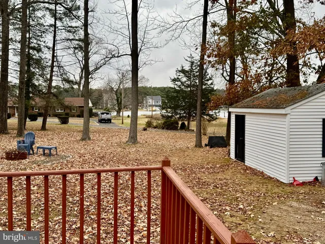 a view of a yard with a tree