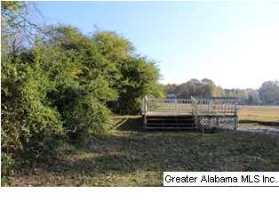 1570 County Line Road West Eastaboga, AL 36260 - Photo 15 of 15