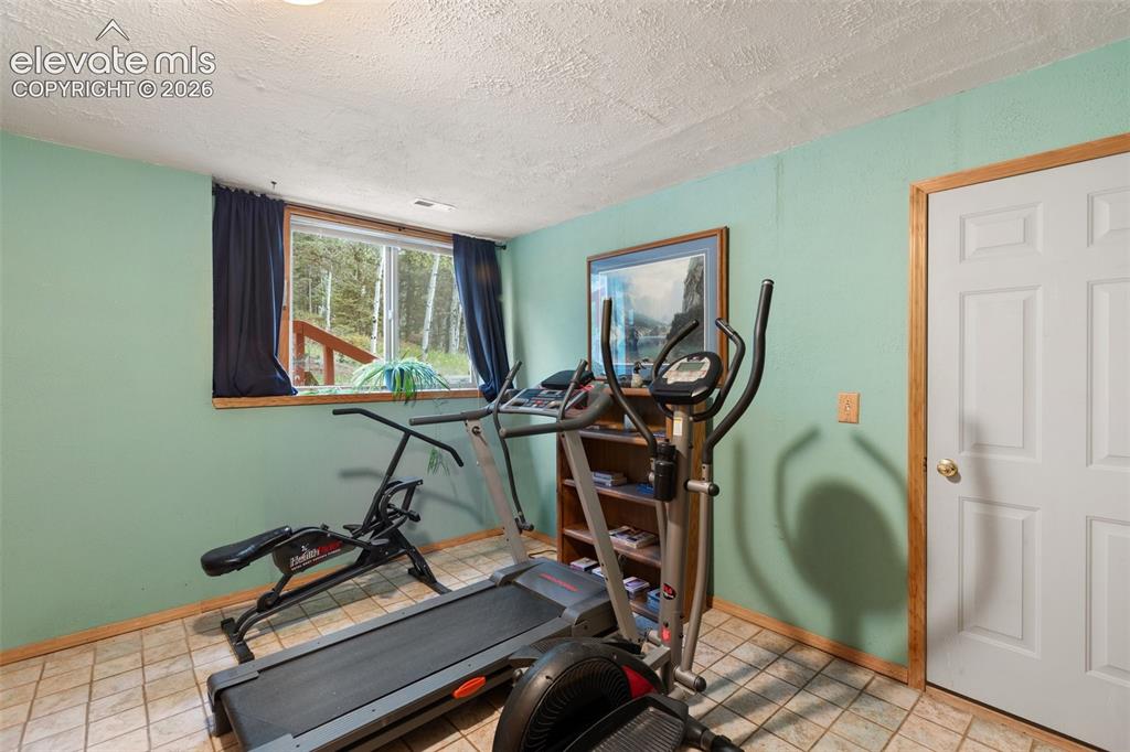 996 Spring Valley Drive Divide, CO 80814 - Photo 33 of 47