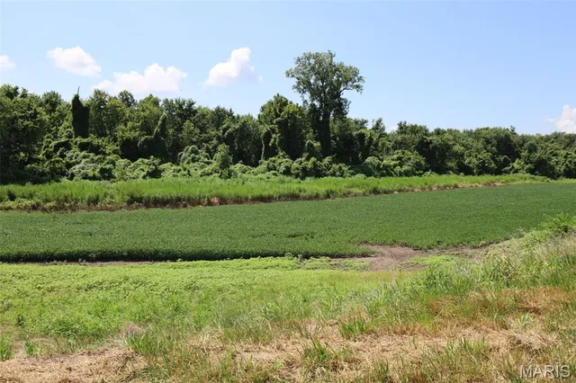 $1,475,000 | 115 Acres West Alton, West Alton, MO 63386