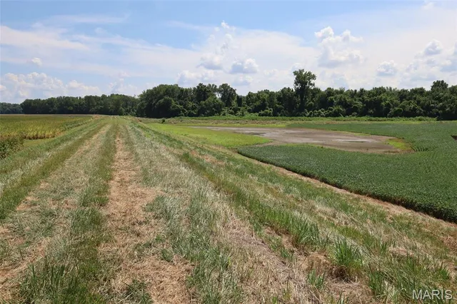 $1,475,000 | 115 Acres West Alton, West Alton, MO 63386