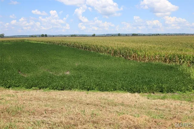 $1,475,000 | 115 Acres West Alton, West Alton, MO 63386