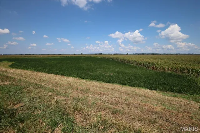 $1,475,000 | 115 Acres West Alton, West Alton, MO 63386