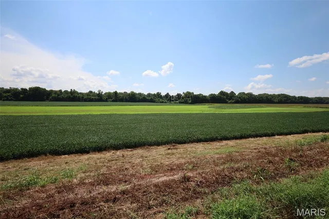 $1,475,000 | 115 Acres West Alton, West Alton, MO 63386