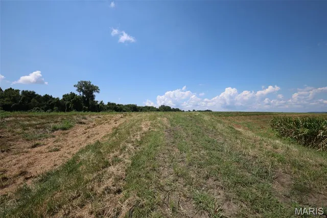 $1,475,000 | 115 Acres West Alton, West Alton, MO 63386
