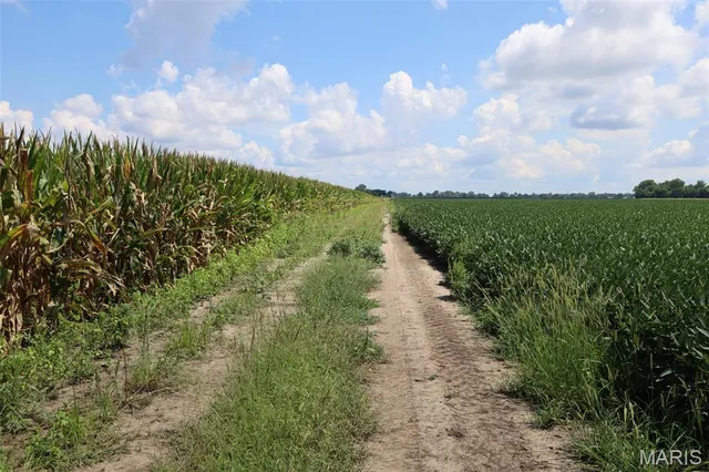 $1,475,000 | 115 Acres West Alton, West Alton, MO 63386