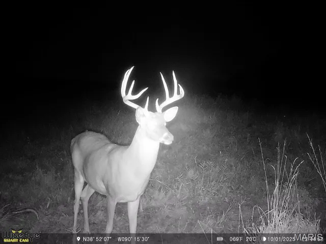 $1,475,000 | 115 Acres West Alton, West Alton, MO 63386