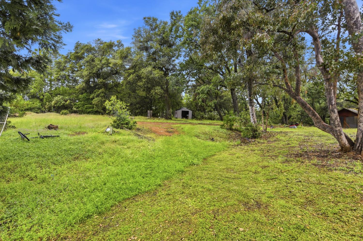 1950 Bear Rock Road Placerville, CA 95667 - Photo 48 of 50