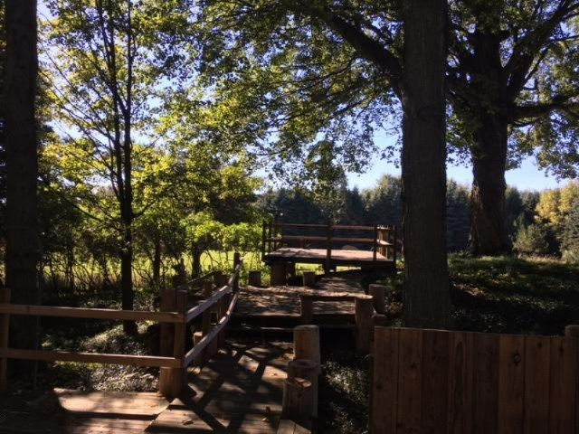 535 South Brye Road Ludington, MI 49431 - Photo 21 of 34 IMG_0897