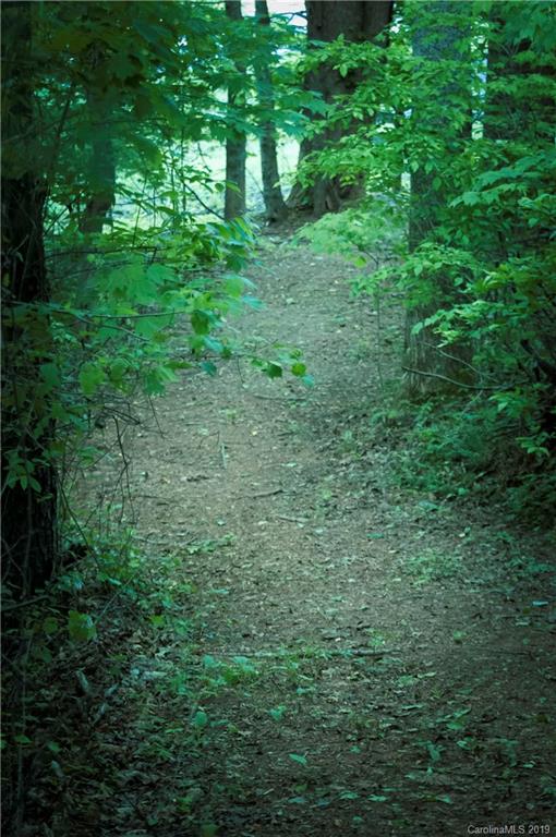 5911 Big Level Road Mill Spring, NC 28756 - Photo 40 of 47 a view of a lush green forest