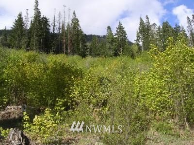 L1 Easton Ridge Road Easton, WA 98925 - Photo 1 of 1 Gallery Image 1