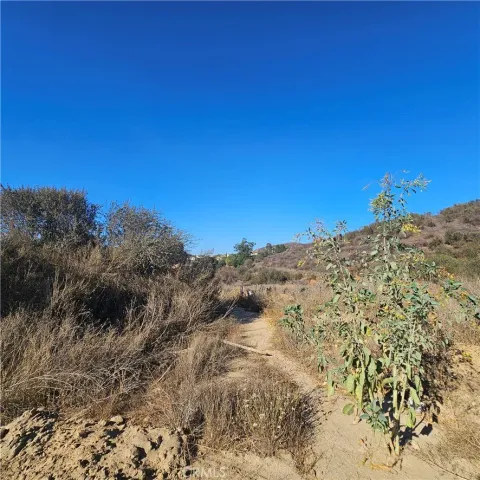 a view of a large mountain with trees in the background