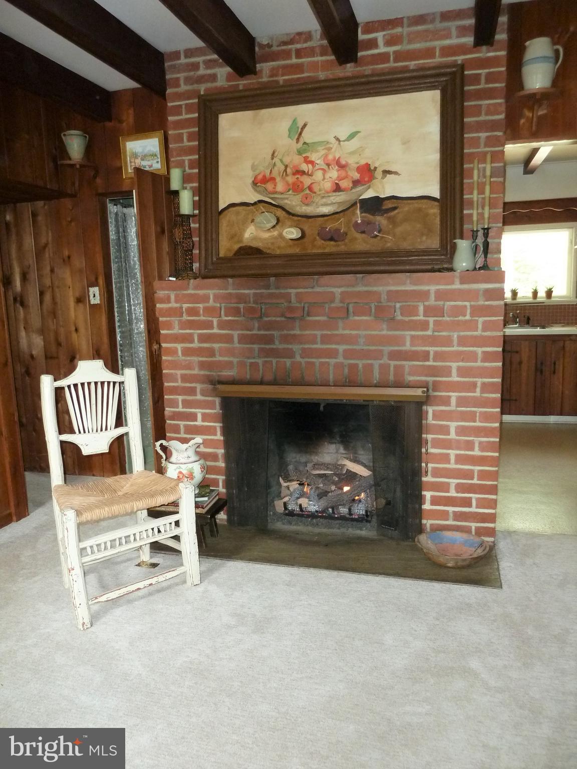 3 Spruce Road Newtown Square, PA 19073 - Photo 11 of 36 Fireplace in Living Room Area