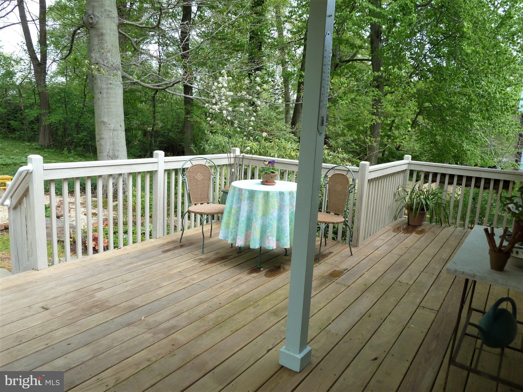 3 Spruce Road Newtown Square, PA 19073 - Photo 26 of 36 Back Deck