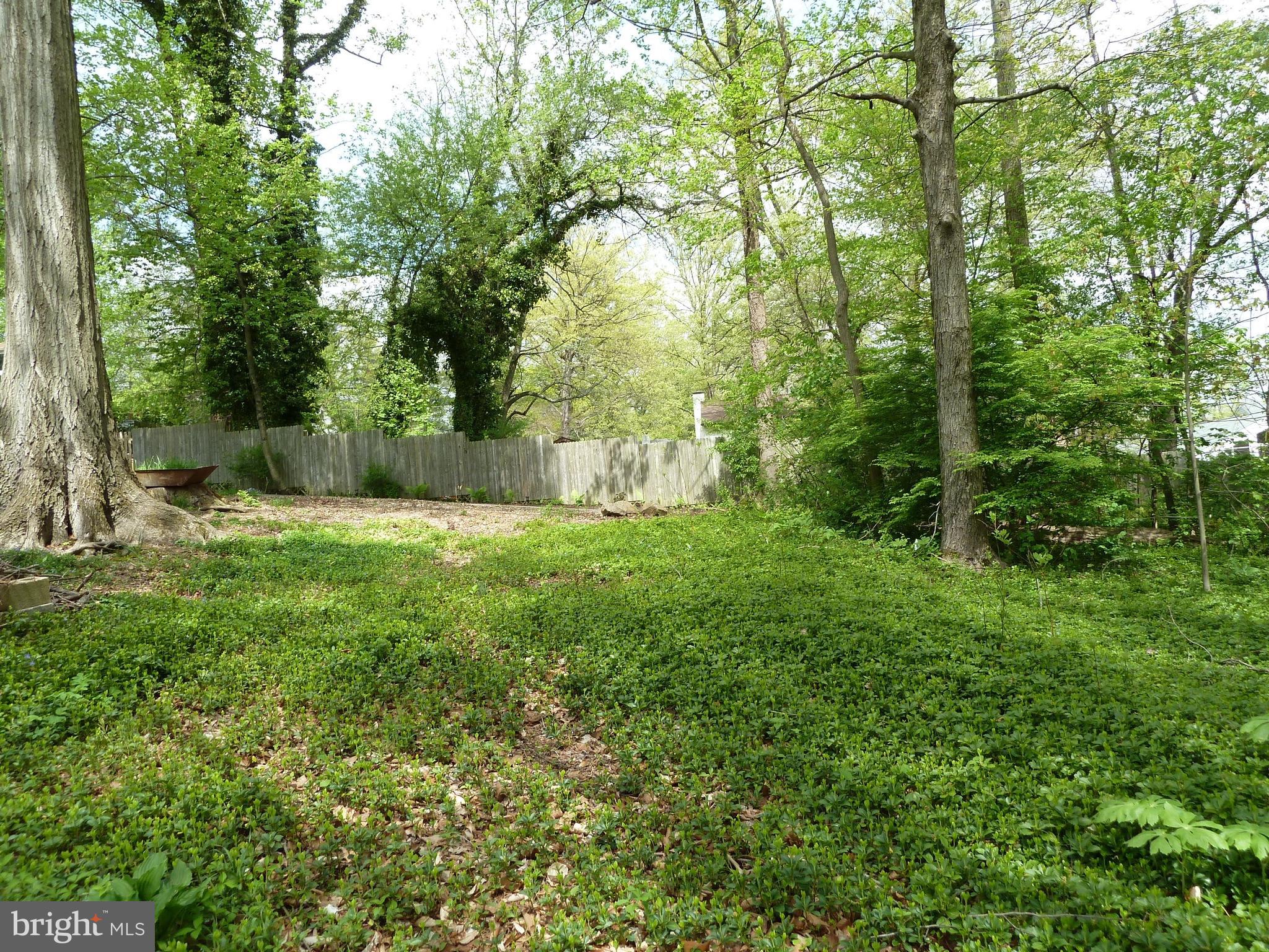3 Spruce Road Newtown Square, PA 19073 - Photo 29 of 36 Back Yard