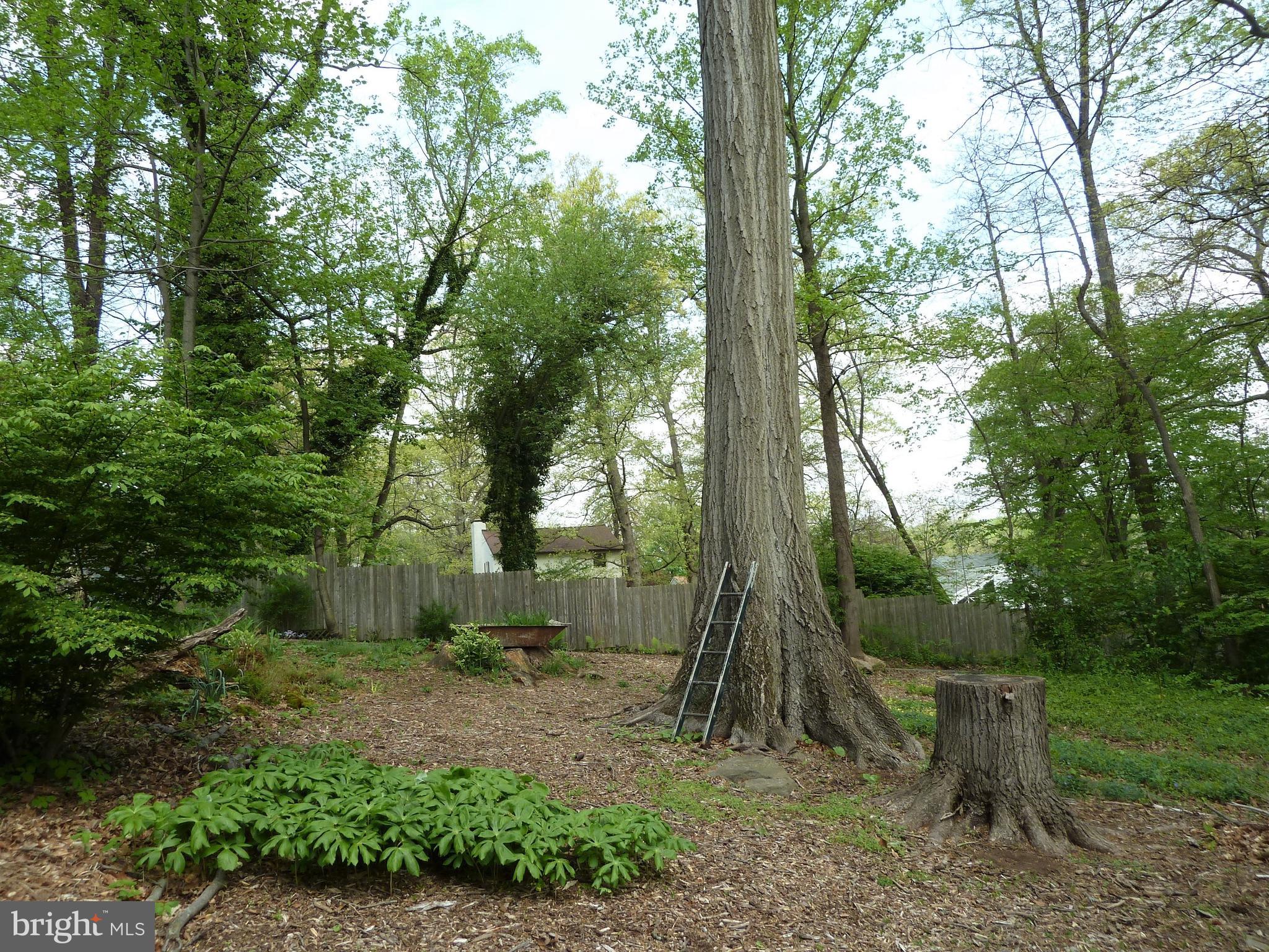 3 Spruce Road Newtown Square, PA 19073 - Photo 30 of 36 Back Yard