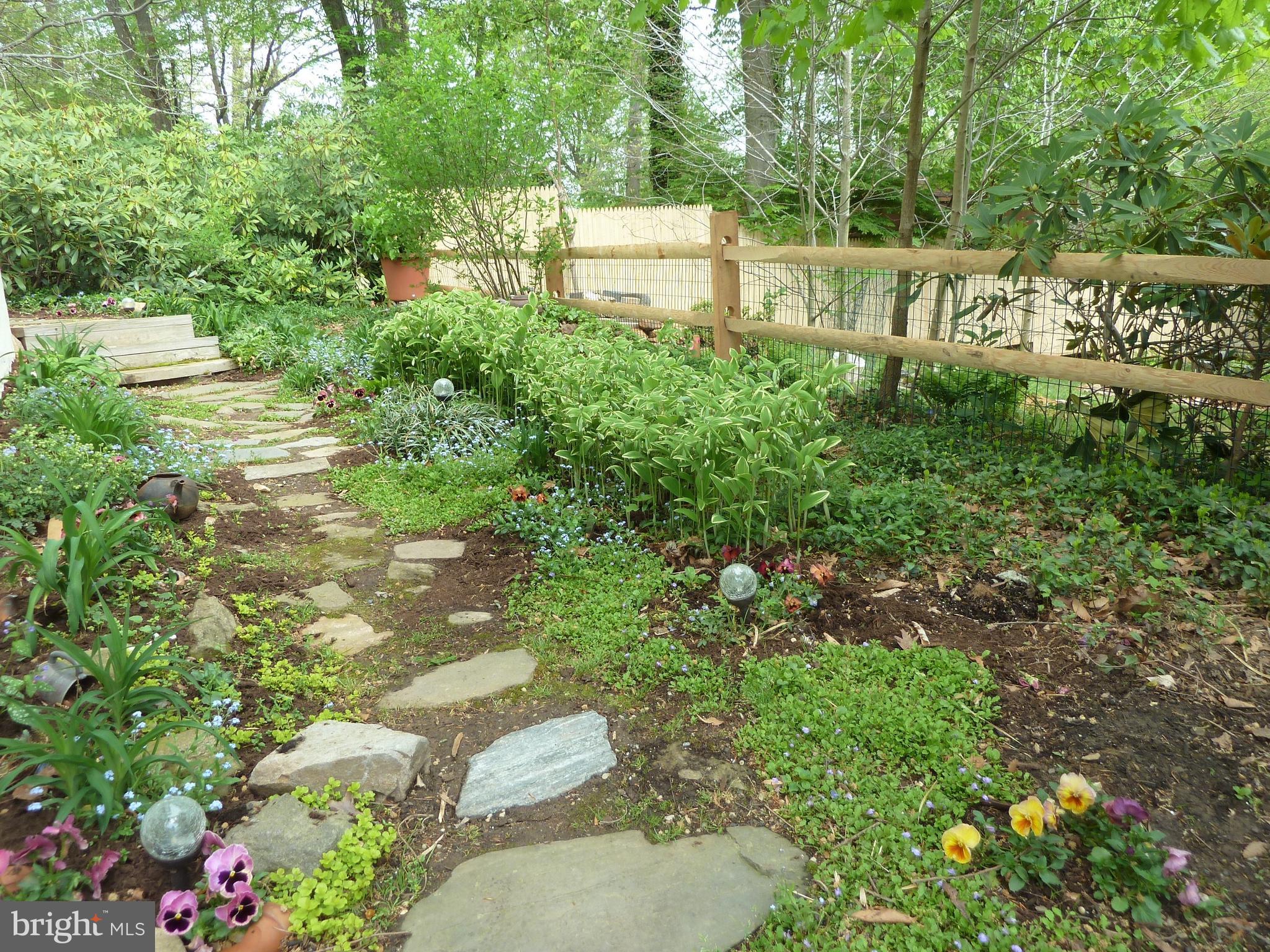 3 Spruce Road Newtown Square, PA 19073 - Photo 36 of 36 Garden Path