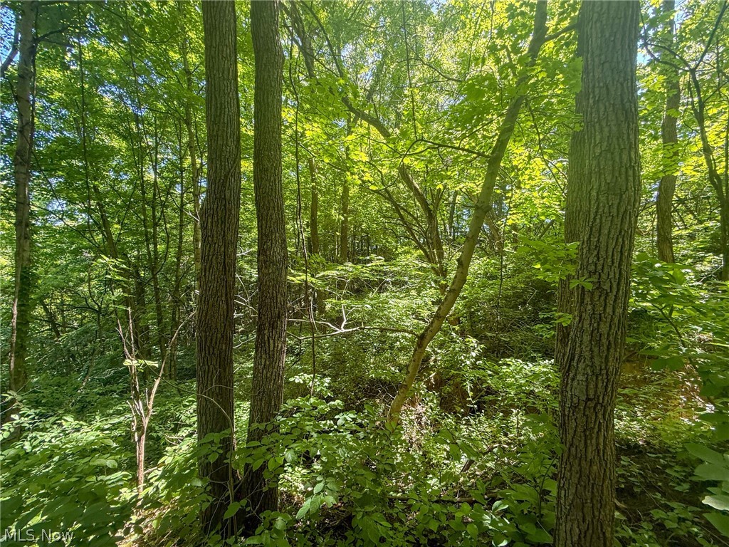 Keffer Road Stockport, OH 43787 - Photo 5 of 25
