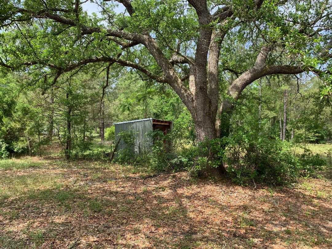 9587 John Hall Lane Foley, AL 36535 - Photo 19 of 19 Beautiful Live Oaks