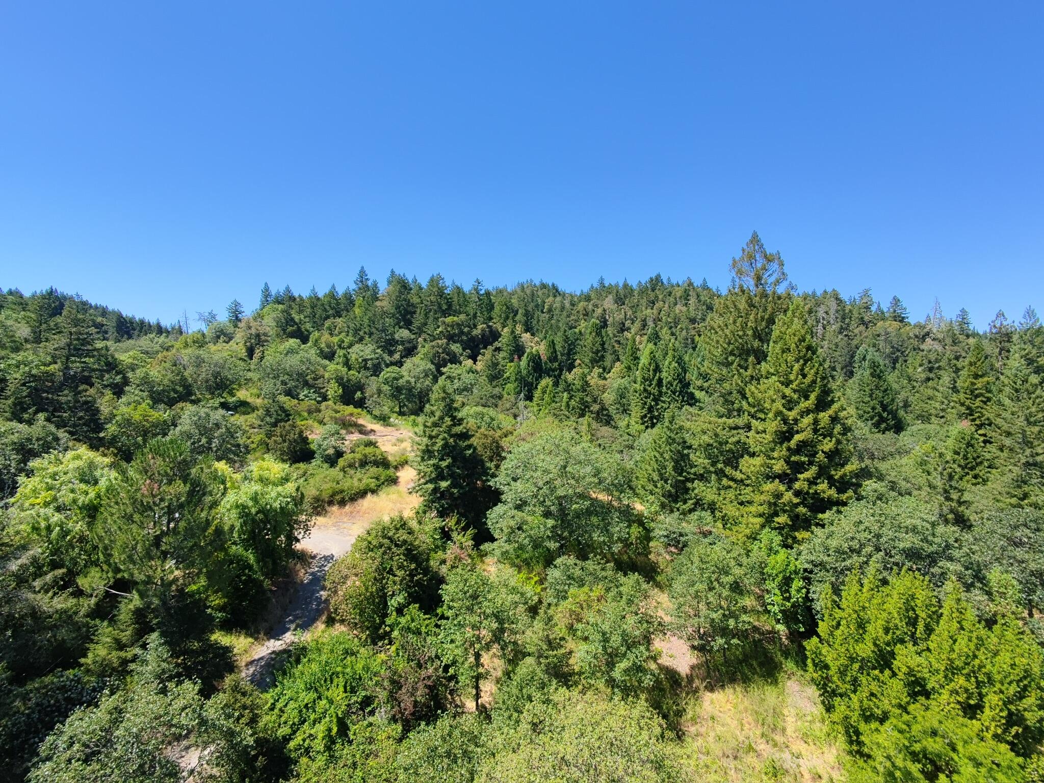 308 West Coast Road Redway, CA 95560 - Photo 43 of 56