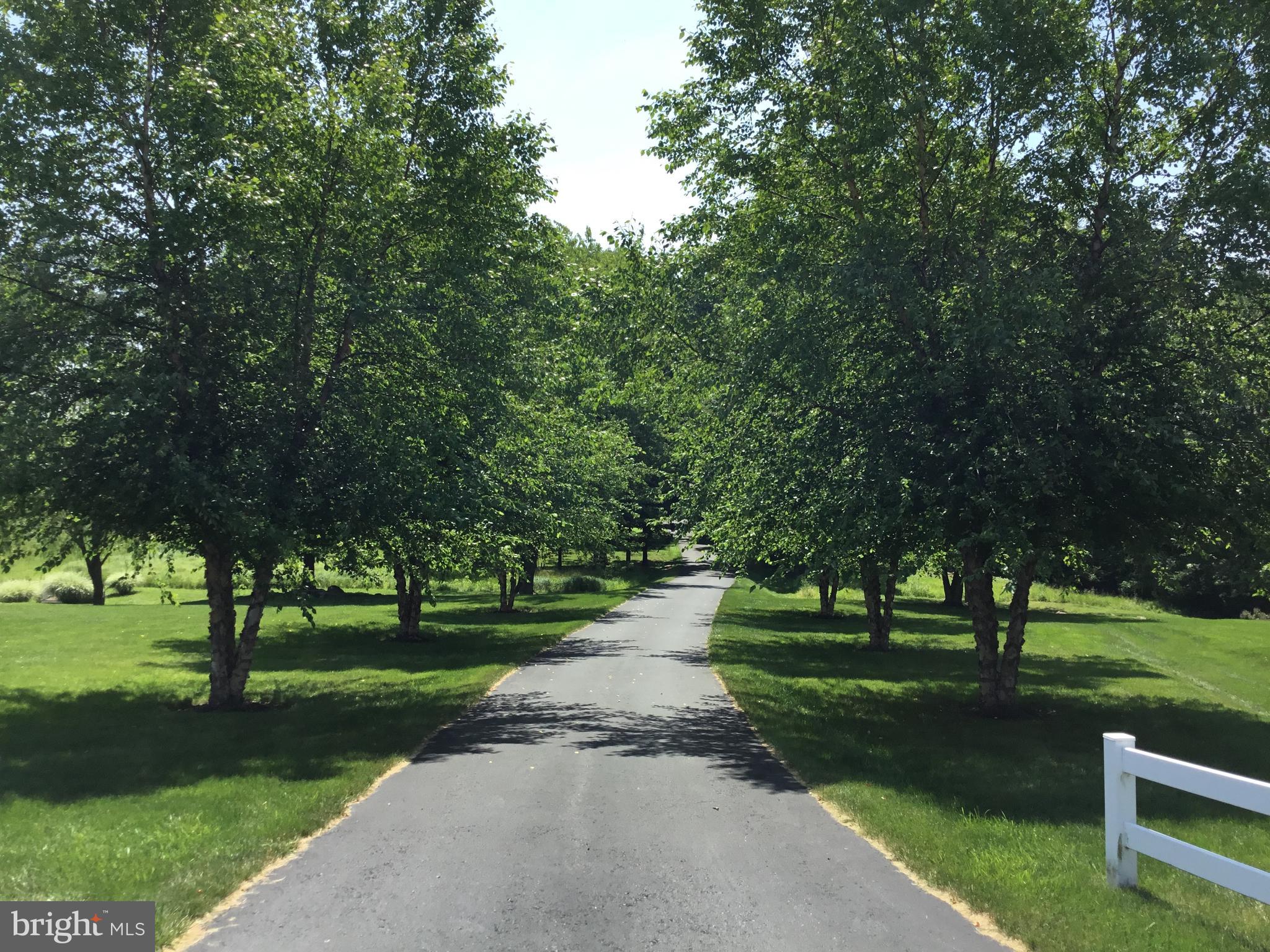 6516 Schoolhouse Road Hershey, PA 17033 - Photo 4 of 71