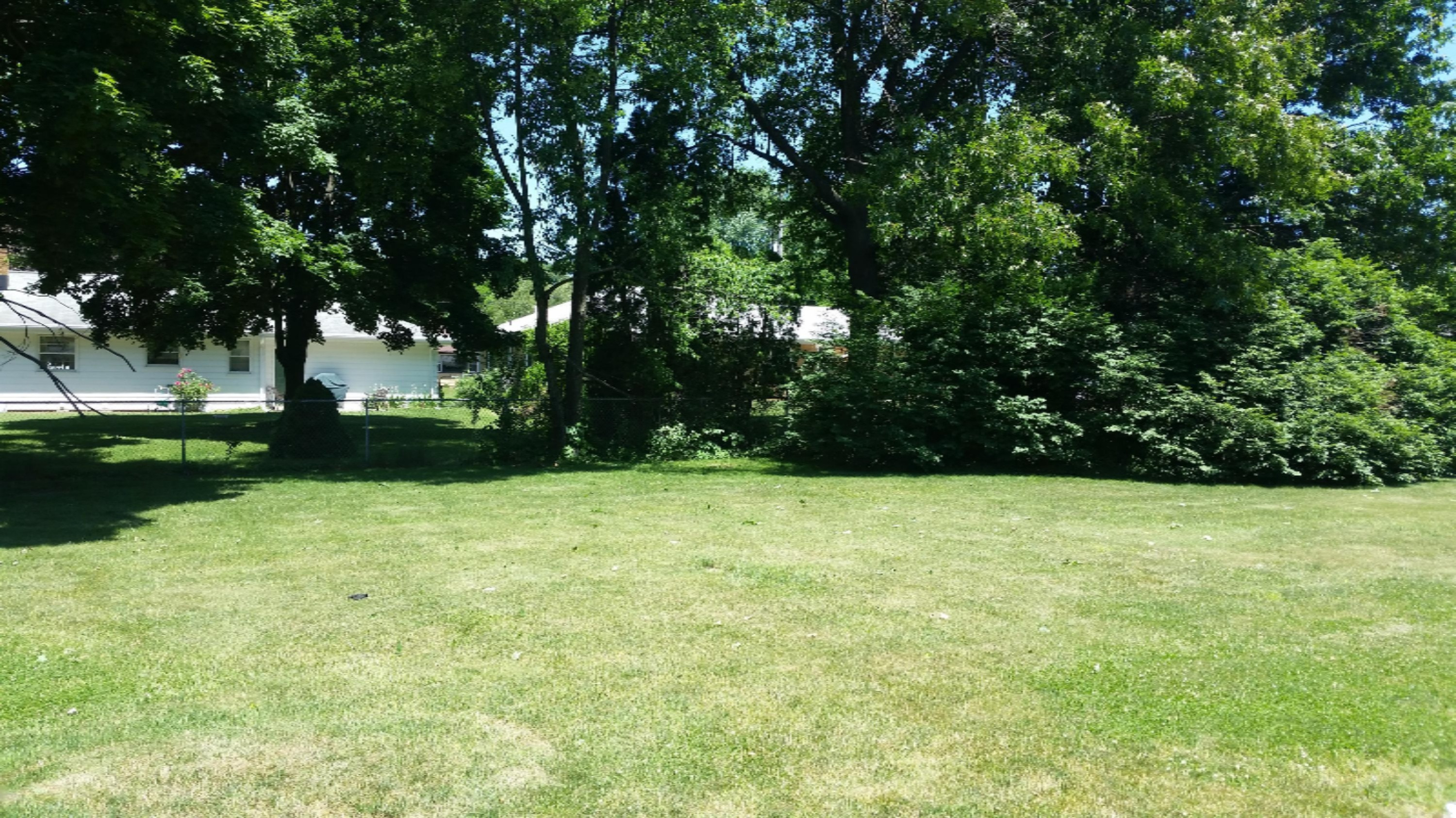 3508 Olney Road Kalamazoo, MI 49006 - Photo 15 of 19 Back yard