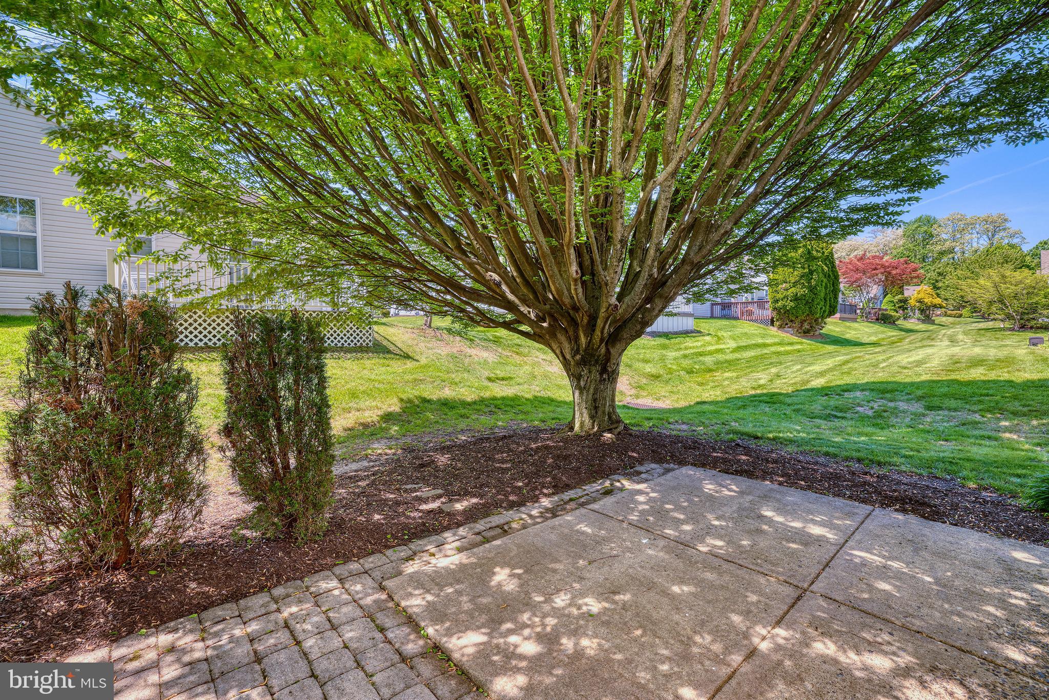 17 Black Eyed Susan Road Langhorne, PA 19047 - Photo 6 of 30