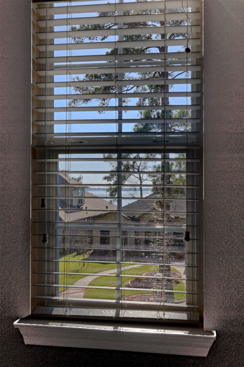 14918 Pollux Drive Willis, TX 77318 - Photo 34 of 46 a view of a window