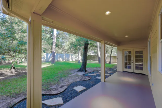 a view of a yard with plants and a large tree