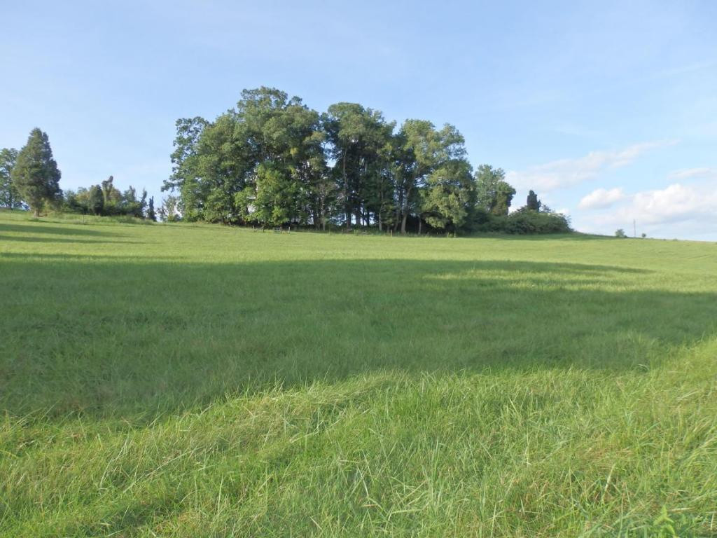1020 Pleasant Grove Road Bluff City, TN 37618 - Photo 18 of 24 Pasture