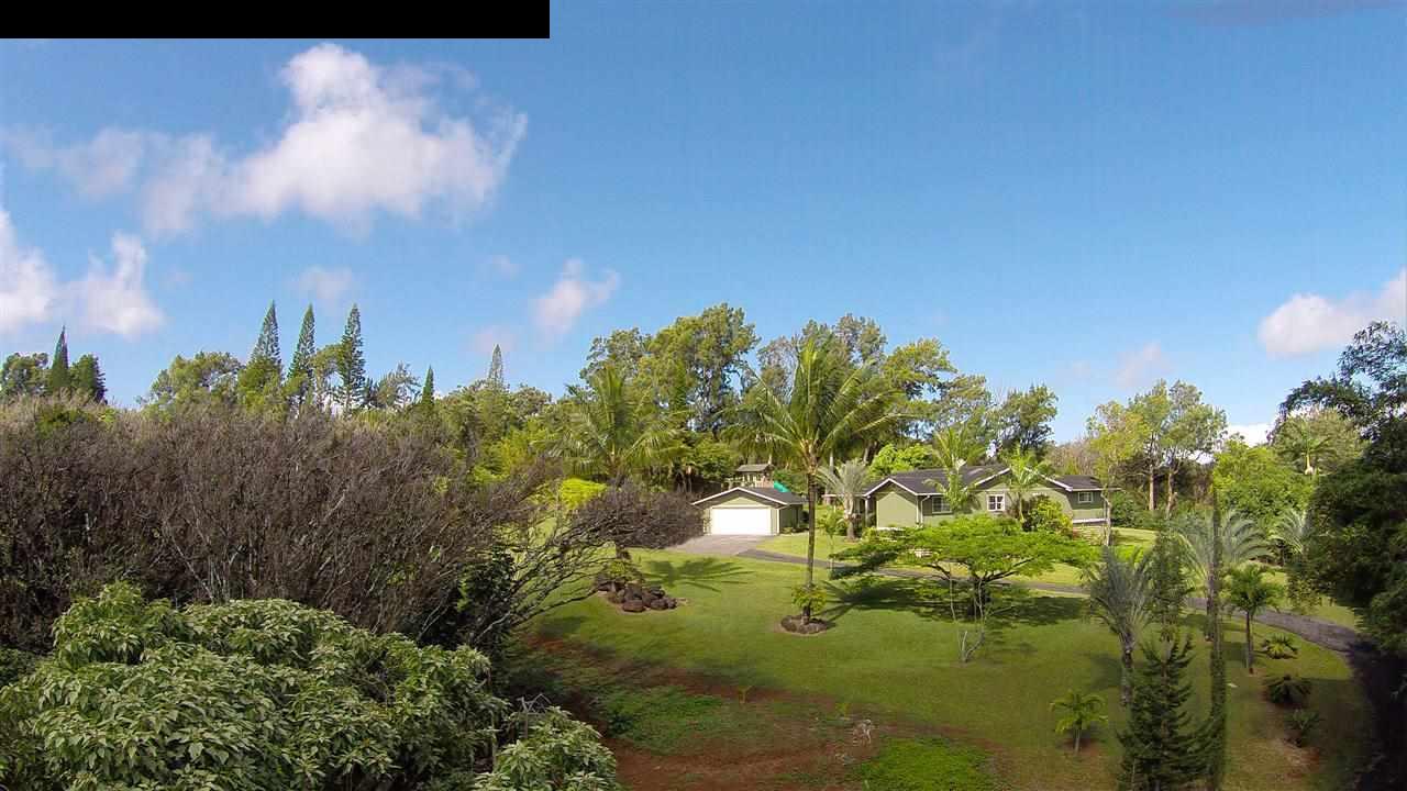 700 Pakanu Street Haiku, HI 96708 - Photo 3 of 28 a view of a tree in a garden