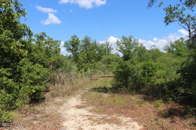 4875 Hasty Pond Road Marianna, FL 32448 - Photo 23 of 25 Gallery Image 23