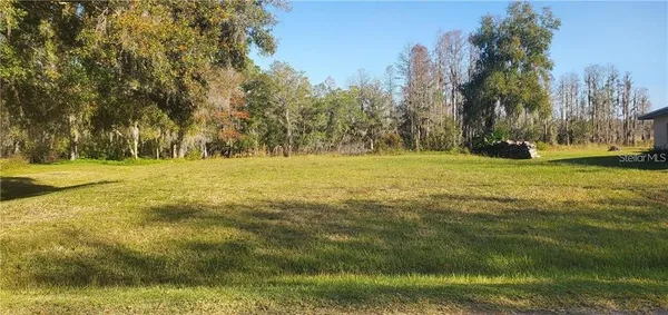 a view of a field with trees in the background