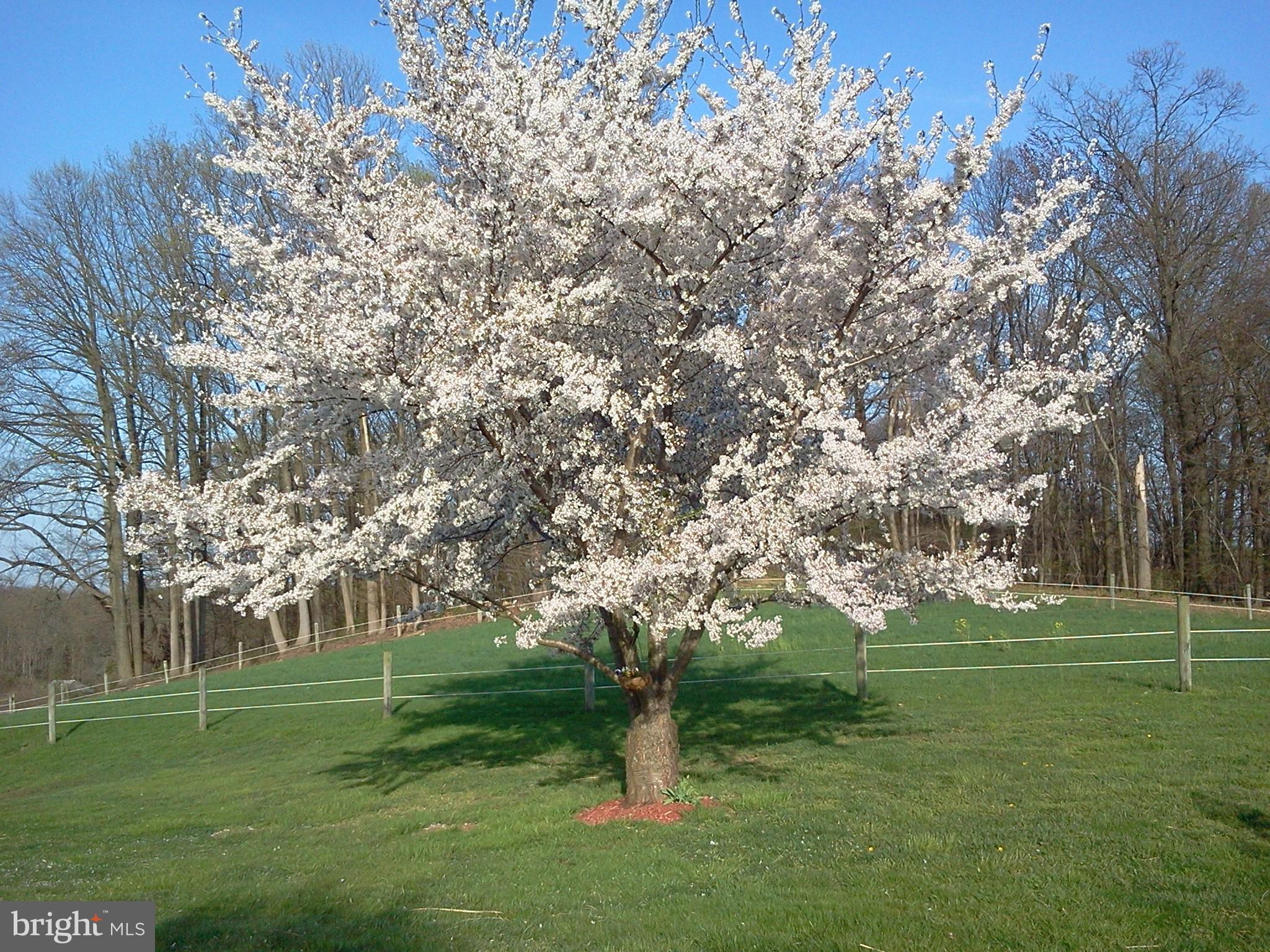 401 Chestnut Hill Road Forest Hill, MD 21050 - Photo 39 of 40