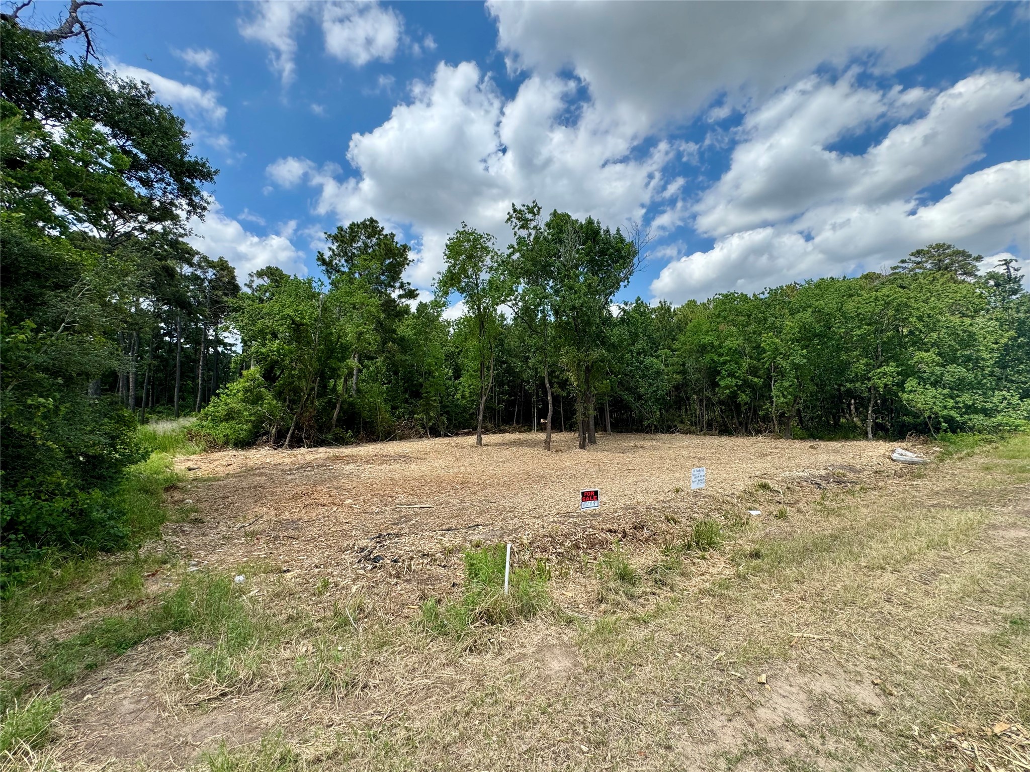 0 West Hardy Road Houston, TX 77073 - Photo 4 of 11 a view of a dry yard with trees